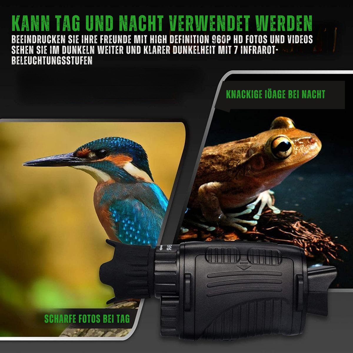 Abenteuer im Dunkeln erleben